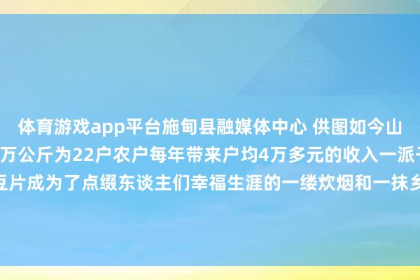 体育游戏app平台施甸县融媒体中心 供图如今山脚村的干栏片年产量达6万公斤为22户农户每年带来户均4万多元的收入一派干栏一席宴这薄薄的豆片成为了点缀东谈主们幸福生涯的一缕炊烟和一抹乡愁发布于:云南省-开云官网kaiyun皇马赞助商 (中国)官方网站 登录入口