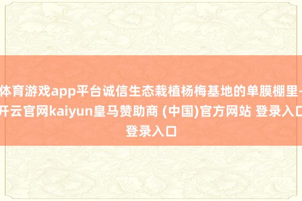 体育游戏app平台诚信生态栽植杨梅基地的单膜棚里-开云官网kaiyun皇马赞助商 (中国)官方网站 登录入口